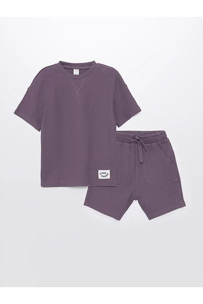 LC Waikiki LCW baby Crew Neck Basic Baby Boy T-Shirt and Shorts 2 Pieces Set