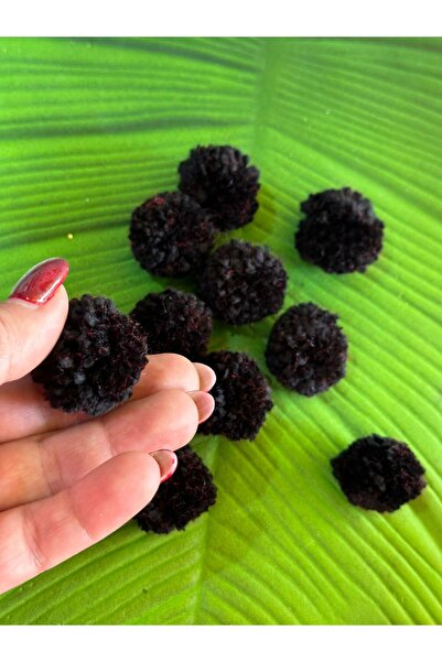 Gönülden Tasarım 10 BUC. Set POMPON DE CATIFEA 3 CM - Accesoriu pentru cusut ...