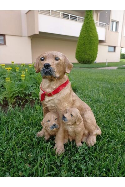 BilgeCe hoMe Yavrulu köpek heykeli, İki yavrulu köpek heykeli, Golden köpek h...