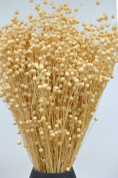 Dekora Çiçek Κρέμα αποξηραμένου λιναριού (LUNA GRASS).