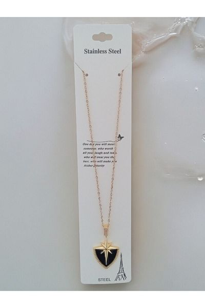 zeynep Z&D Accessory 316L Gold Steel Shield Model Plate Çağla Şikel Polar Star Necklace