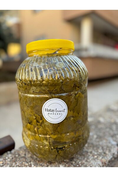 Hatay Yöresel Yeni Sezon Salamura Asma Yaprak 5 kg lık pet (net 3 kg)