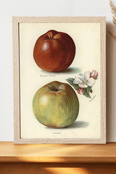 Luna Marissa Καλλιτεχνική αφίσα με φρούτα - Διακοσμητική αφίσα διάσημων ζωγρα...