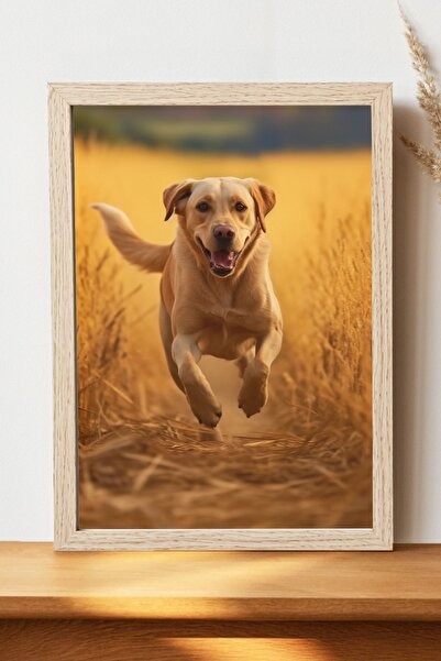 Luna Marissa Αφίσα Golden Dog - Αφίσα τοίχου από γυαλιστερό χαρτί χωρίς πλαίσιο