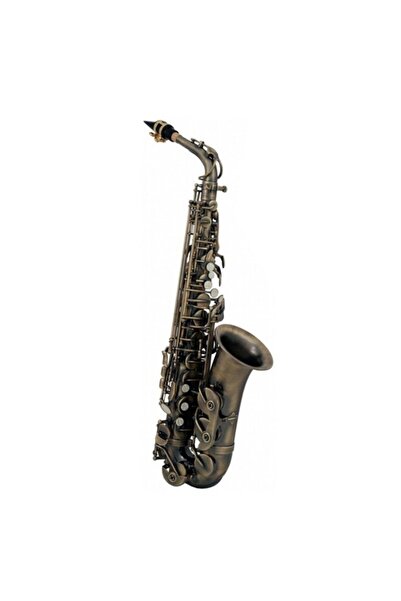 Roy Benson As-202a Alto Saksafon