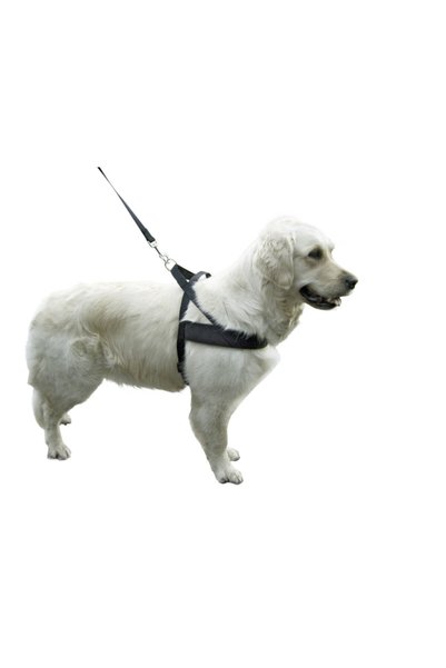 KERBL Dog Waist Collar Black [Noveç Type] - 65-85 cm