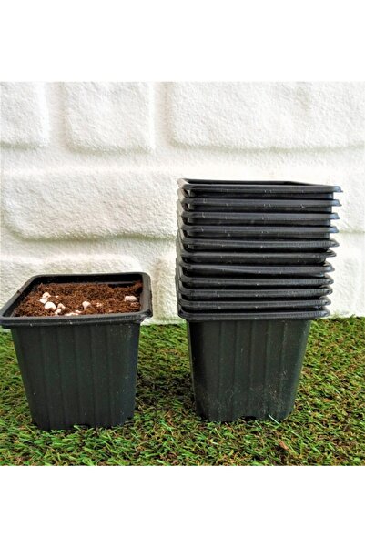 Asenya Kare Saksı 9x9x8 cm 60 Adet Siyah Üretim Saksısı Vakum Saksı Ucuz Saksı