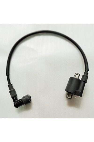 NCR Cg Dış Bobin , Ateşleme Bobini