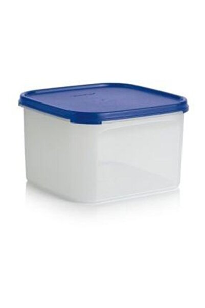 Tupperware Oval Modular Storage Container 2.6 Lt