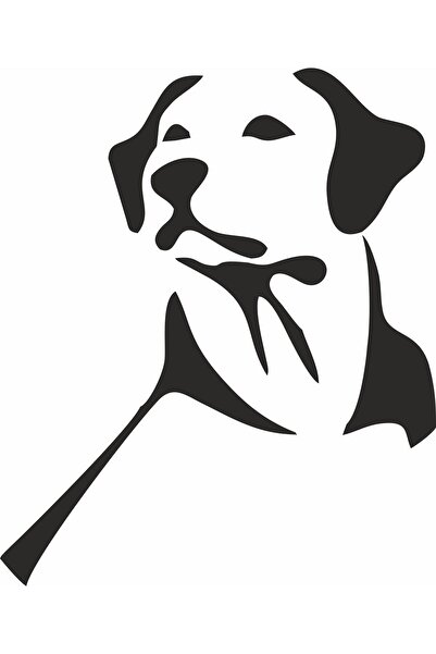 UBGA GIFT Autocolant pentru vehicule cu design special