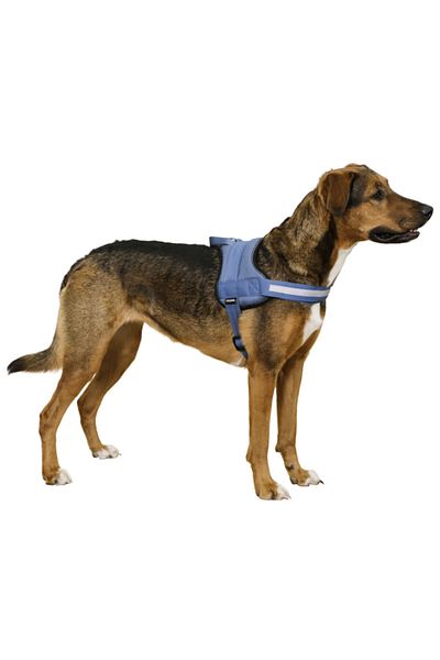 KERBL Waist Dog Collar Maestro 2.0 Xxl 83-113 cm X 38 mm