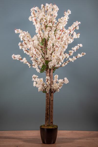 YAPAY ÇİÇEKÇİNİZ 120 Cm Beyaz Bahardalı Ağacı