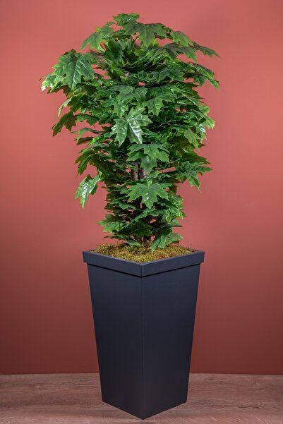 YAPAY ÇİÇEKÇİNİZ 140 Cm Yeşil Çınar Ağacı
