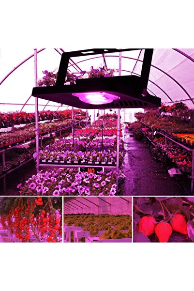 Genel Markalar Bitki Yetiştirme Işığı Ledi 50 Watt Led Projektör Sera Çiçekleme Lambası Full Spectrum Aydınlatma