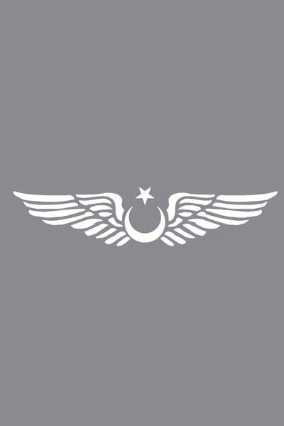 Dijitonline Ay Yıldız Kanatlı Türk Bayrağı Oto Kapı Cam Kaput Sticker - 30cm