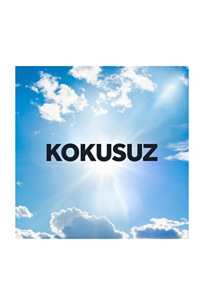 Raid Su bazlı Kokusuz Sineksavar 229 gr