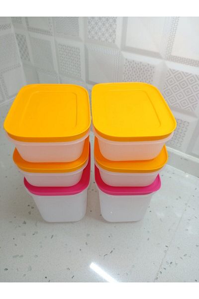 Tupperware Alaska Set of 6 Sheet Cups