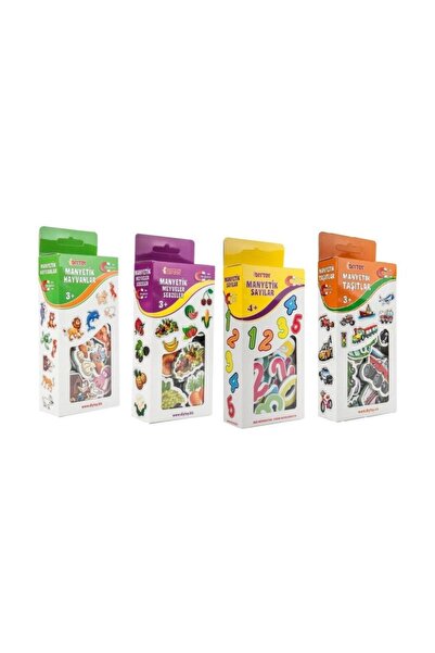 Diytoy Eğitici Manyetik 4 Farklı Set