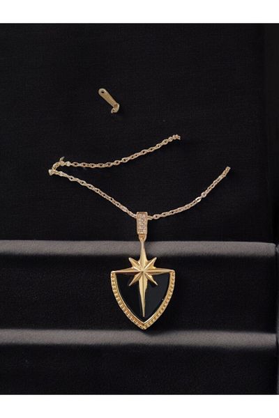 zeynep Z&D Accessory 316L Gold Steel Shield Model Plate Çağla Şikel Polar Star Necklace