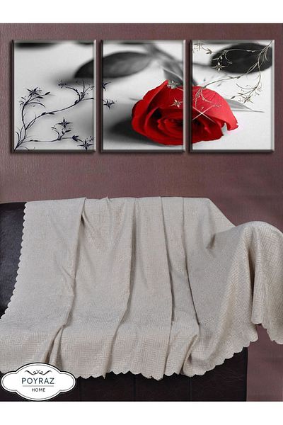 POYRAZ Shiny Patterned Chenille Stone Double Sided Sofa Sofa Bed Cover Shawl