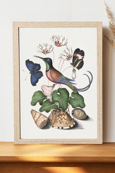 Luna Marissa Αφίσα Bird Anna Blackburne - Αφίσα τοίχου από γυαλιστερό χαρτί χ...