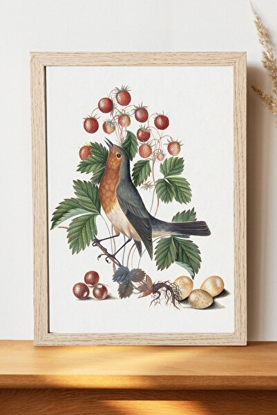 Luna Marissa Αφίσα με πουλιά και φράουλες της Άννας Μπλάκμπερν - Αφίσα τοίχου...