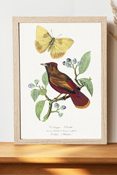 Luna Marissa Καλλιτεχνική αφίσα πουλιών - Διακοσμητική αφίσα διάσημων ζωγραφι...