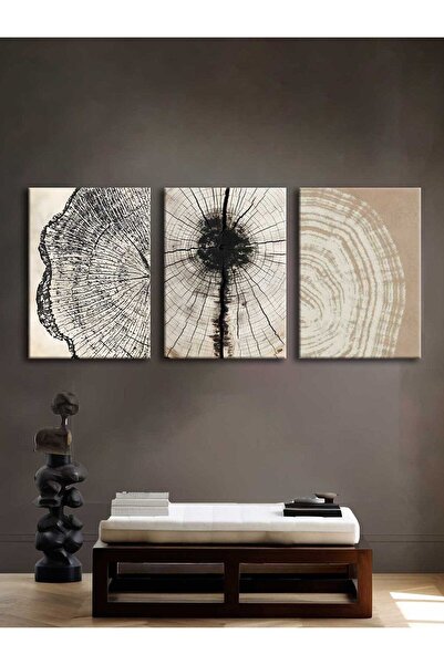 Voovart Kanvas Duvar Tablosu 3'lü Canvas Tablo Seti - VOOV4204