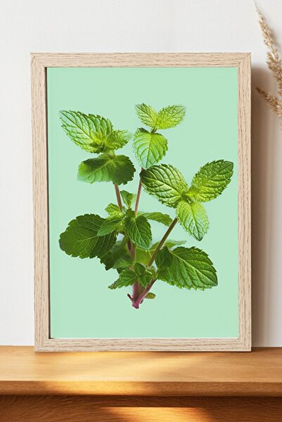 Luna Marissa Αφίσα φυτών - Αφίσα τοίχου από γυαλιστερό χαρτί χωρίς πλαίσιο