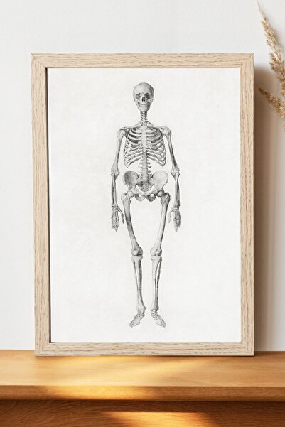 Luna Marissa Αφίσα με ανθρώπινο σκελετό του Γιώργου Στούμπ - Αφίσα τοίχου από...