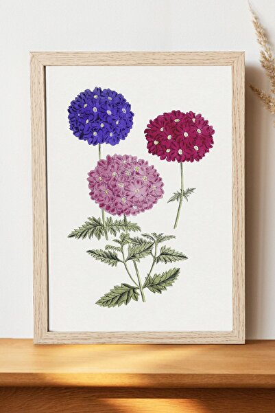 Luna Marissa Μωβ Κόκκινο Ροζ Λουλούδι Αφίσα - Αφίσα τοίχου από γυαλιστερό χαρ...