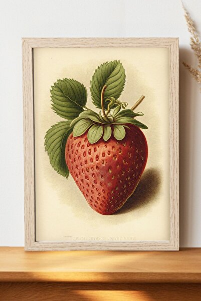Luna Marissa Vintage αφίσα φράουλας - Χοντρό χαρτί χωρίς πλαίσιο, ψηφιακή δια...