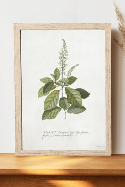 Luna Marissa Αφίσα με κανέλα Georg Dionysius - Αφίσα τοίχου από γυαλιστερό χα...