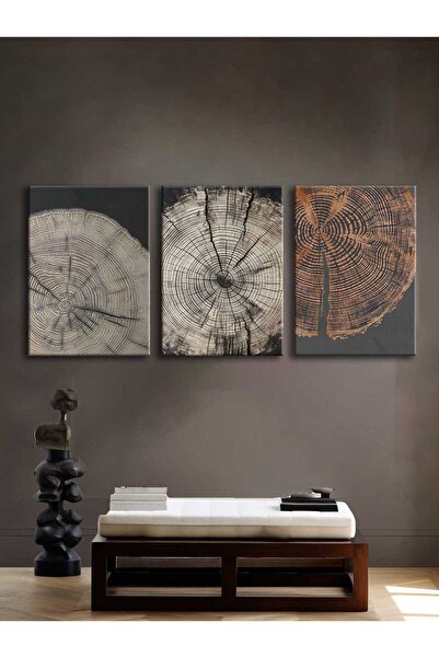 Voovart Kanvas Duvar Tablosu 3'lü Canvas Tablo Seti - VOOV4215