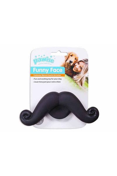 Pawise Vinyl Toy-Beard Dog Toy
