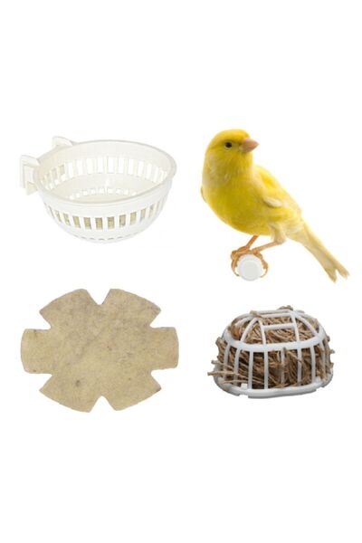 TUĞRA PET MARKET مجموعة إنتاج طيور الكناري (3 قطع)