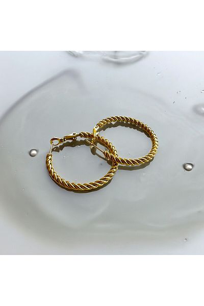 Housess Gold Steel Dangle Earrings
