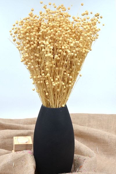 Dekora Çiçek Κρέμα αποξηραμένου λιναριού (LUNA GRASS).