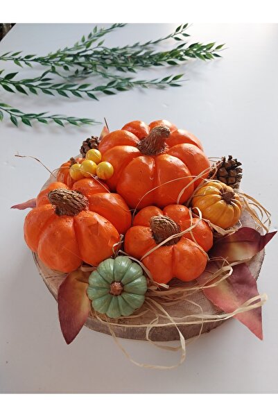 ATÖLYEM BURADA Doğal Kütük Üzeri Kabak Tasarım