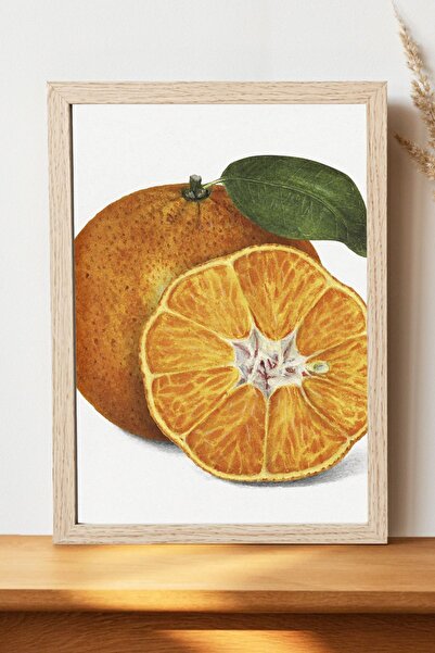 Luna Marissa Πορτοκαλί αφίσα - Αφίσα τοίχου από γυαλιστερό χαρτί χωρίς πλαίσιο