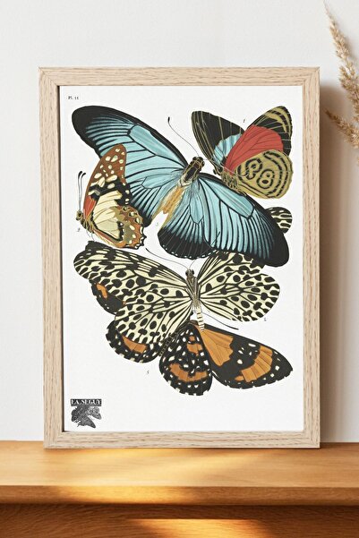 Luna Marissa Αφίσα Vintage Butterflies - Αφίσα τοίχου από γυαλιστερό χαρτί χω...