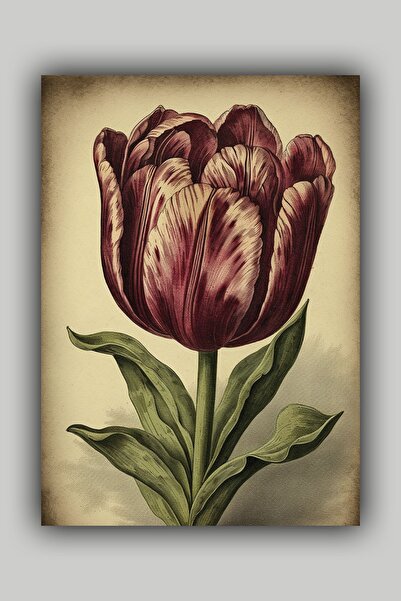 Luna Marissa Αφίσα τοίχου χωρίς πλαίσιο με τριαντάφυλλα