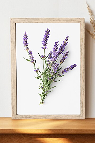 Luna Marissa Lavanta Çiçeği Poster - Çerçevesiz Parlak Kağıt Duvar Posteri