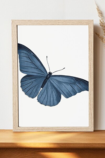 Luna Marissa Αφίσα μπλε πεταλούδας - Αφίσα τοίχου από γυαλιστερό χαρτί χωρίς ...