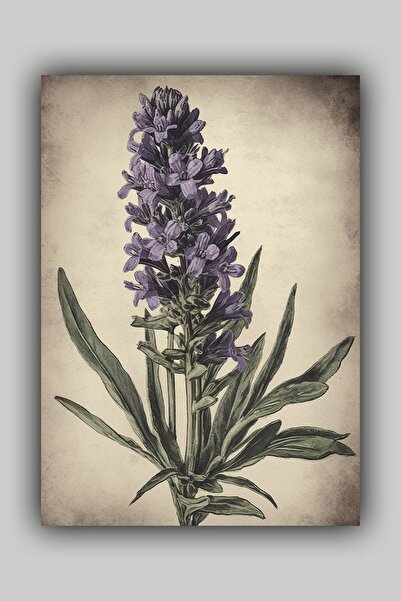 Luna Marissa Αφίσα λεβάντας χωρίς πλαίσιο τοίχου