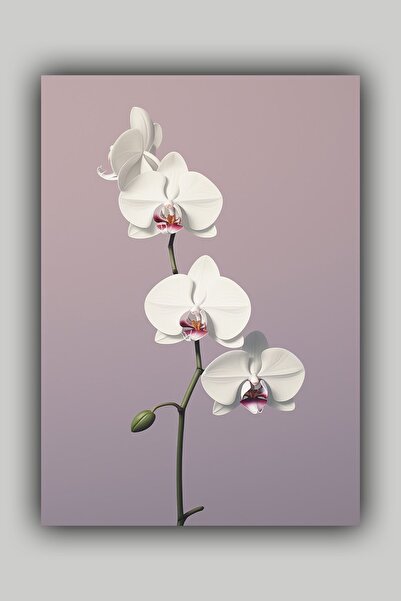 Luna Marissa Αφίσα ορχιδέας χωρίς πλαίσιο τοίχου
