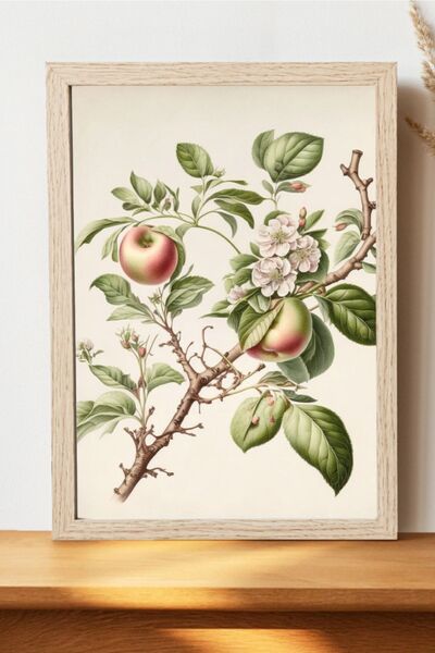 Luna Marissa Αφίσα με κλαδί μήλου - Διακοσμητική αφίσα χωρίς πλαίσιο