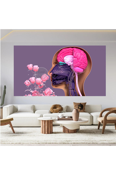 EMİLART Psikolog, Psikoterapi Ve Psikiyatri Merkezi, Terapi Odası Tabloları