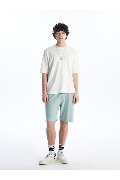 LC Waikiki Ανδρικό σορτς Standard Fit