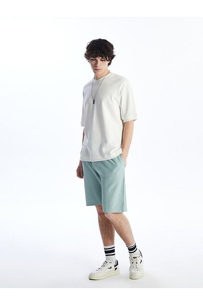 LC Waikiki Ανδρικό σορτς Standard Fit
